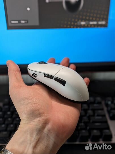 Мышь Endgame Gear xm2we