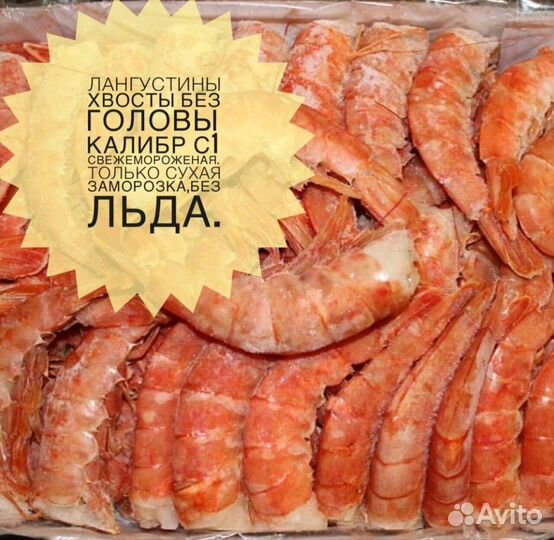 Лангустины.Креветки