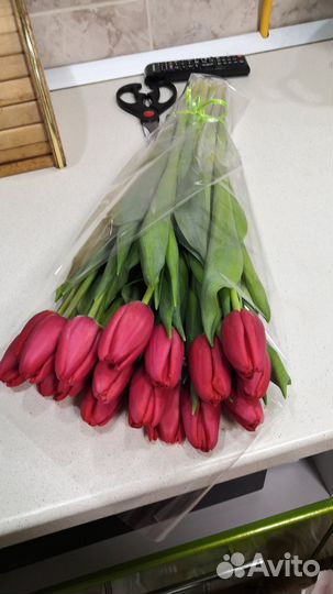 Тюльпаны к 8 марта в розницу