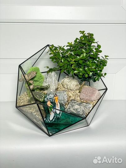 Флорариум мирсина supboard букет цветы бонсай