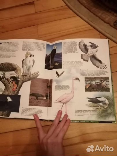 Энциклопедии и книги про животных