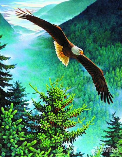 Алмазная мозаика 40x50 Орел над еловым