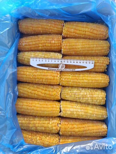Кукуруза замороженная початок