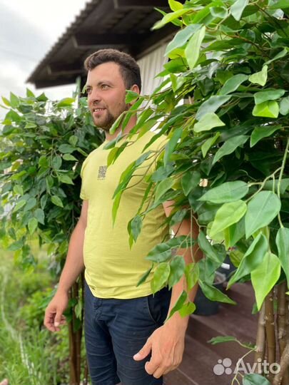 Искусственное дерево. Озеленение