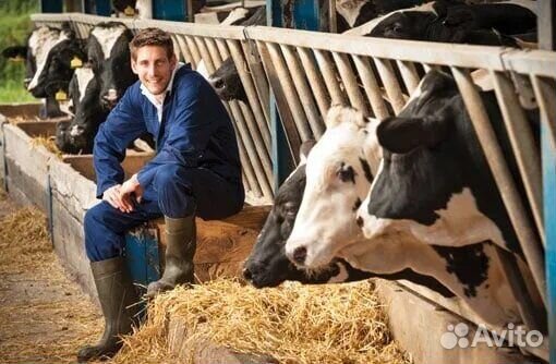 Подсобный рабочий.Вахта 30/45/60.Воронеж