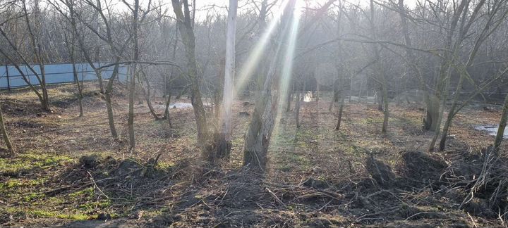 Участок 10 сот. (СНТ, ДНП)