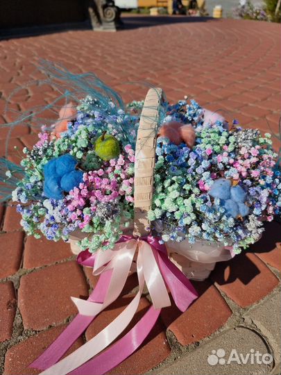 Гипсофила. радужная гипсофила