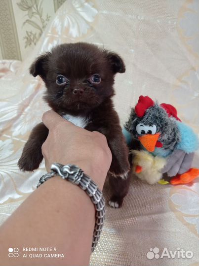 Мини мальчики