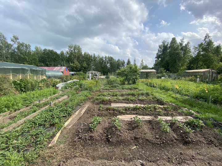 Дача 20 м² на участке 10 сот.