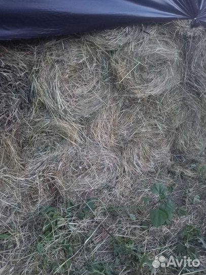 Сено луговое в тюках