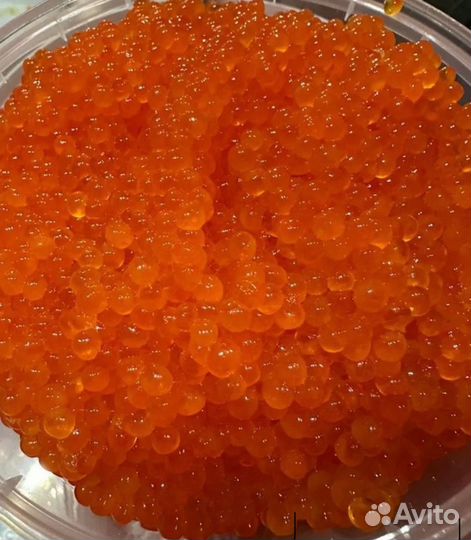 Икра форели