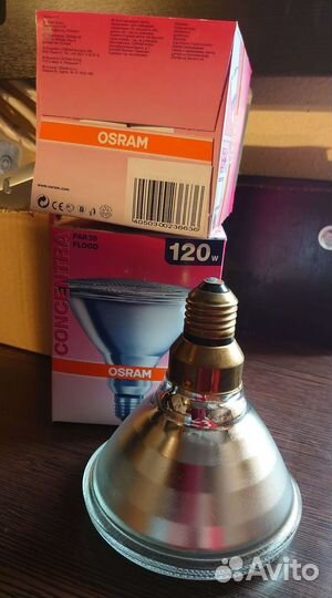 Лампы osram Лампа накаливания зеркальная PAR38 120