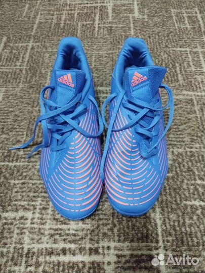 Футзалки Adidas Predator