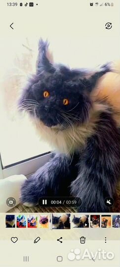 Мягкая игрушка Кот