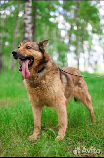 Спаси меня мама