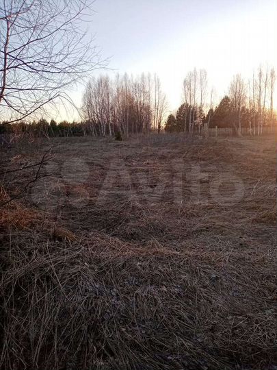 Участок 30 сот. (ИЖС)