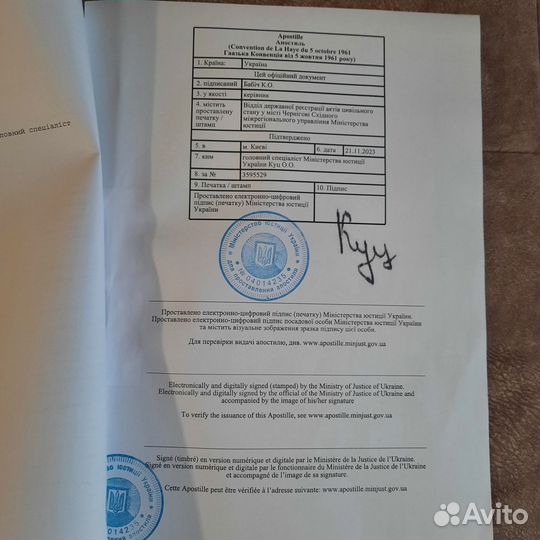 Документы Украины,Загс от 3 дней получение