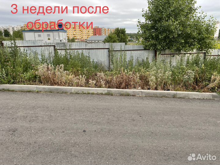 Гербицид сплошного действия