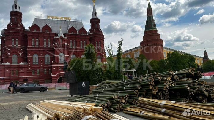 Бамбук, ствол бамбука