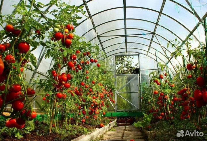 Разнорабочие в теплицу