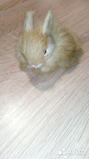 Игрушки меховые