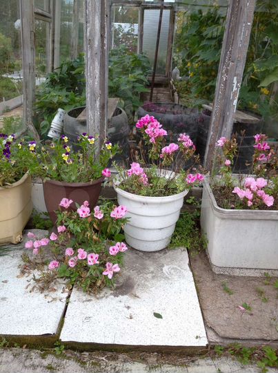 Дом 40,6 м² на участке 7,2 сот.