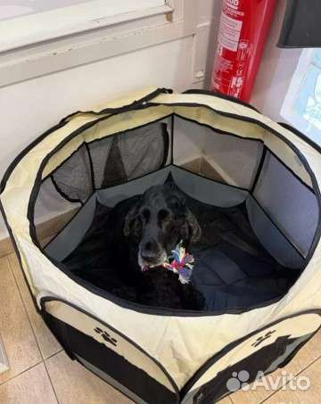 Домик для кошки или собаки