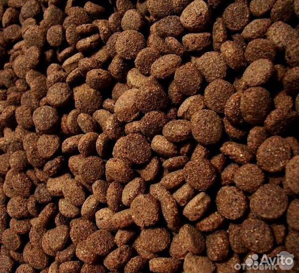 Корм для кошек и собак