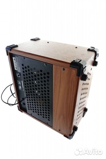 Ламповый комбоусилитель Dinosaur AG-30V