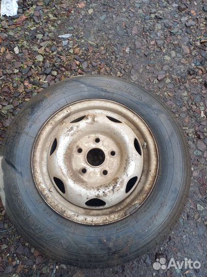 Bridgestone Blizzak DM-V1 175/70 R14