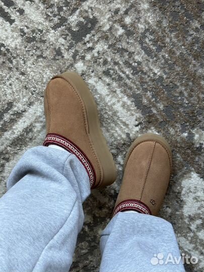 Ugg tazz tasman chestnut