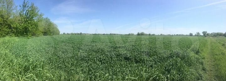 Участок 3 га (ИЖС)