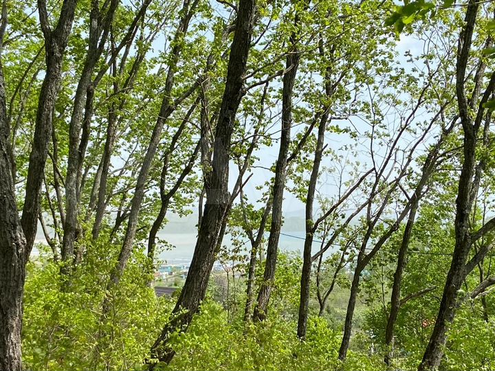 Участок 15 сот. (ИЖС)