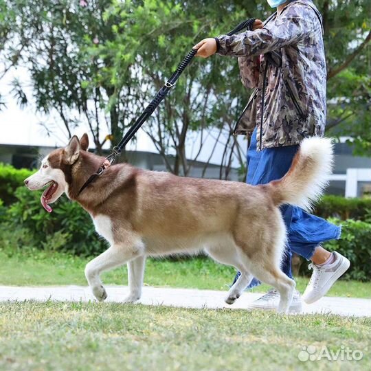 Поводок с амортизатором для крупных собак