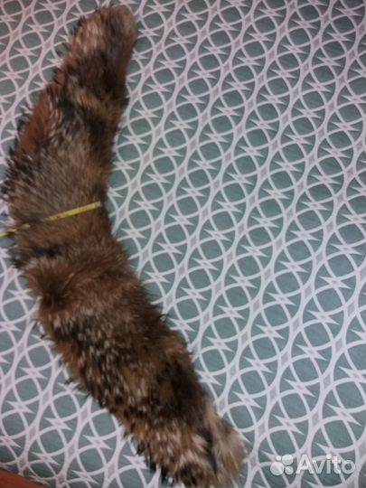 Меховой воротник енот и шапка женская из енота