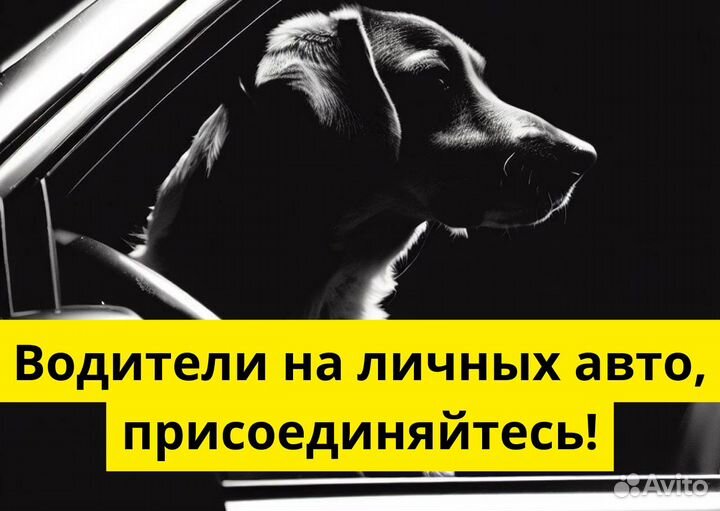 Водитель на легковом авто категория В Taxi