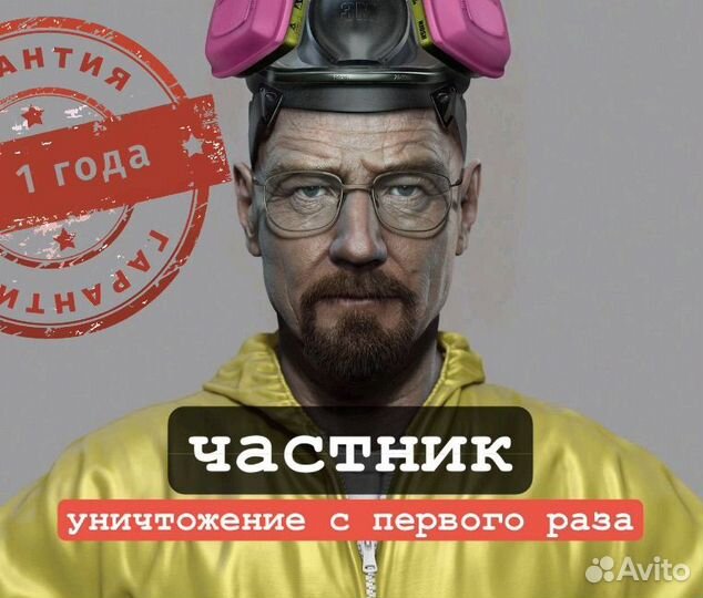 Дезинсекция тараканы муравьи клопы