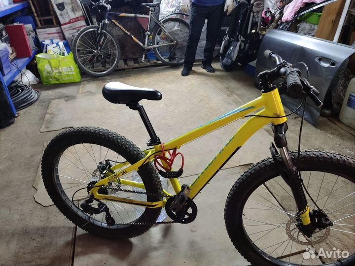 Велосипед Forward bizon 24 mini