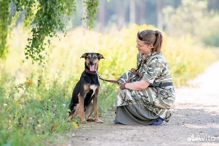 Маленькая собака в добрые руки