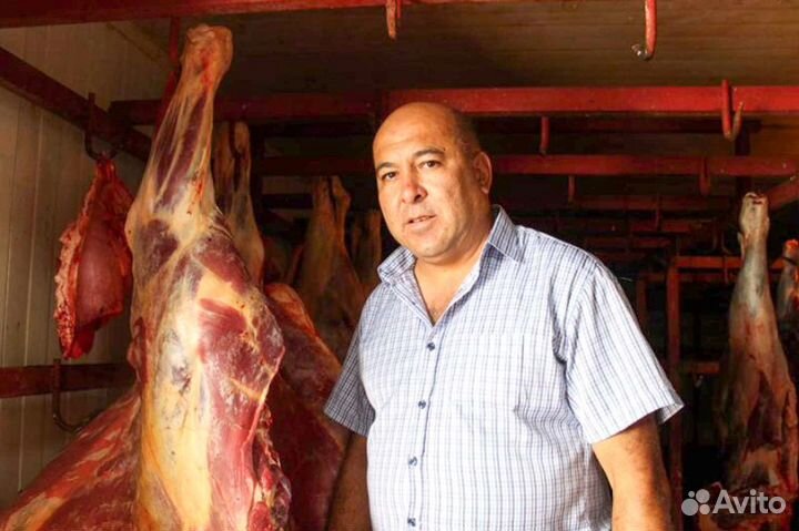 480 тысяч пассивный доход. Ищу партнера в бизнес