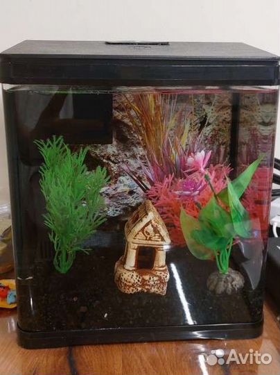 Аквариум prime led, 7 л черный