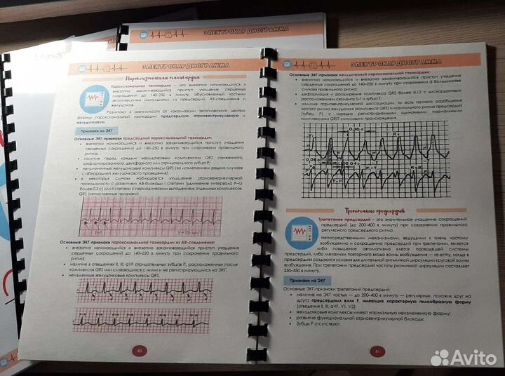Методичка по основам экг