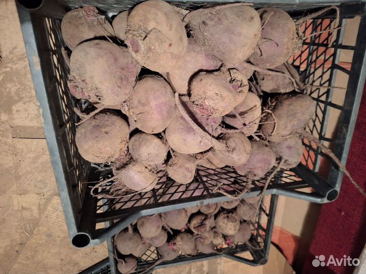 Продукты питания