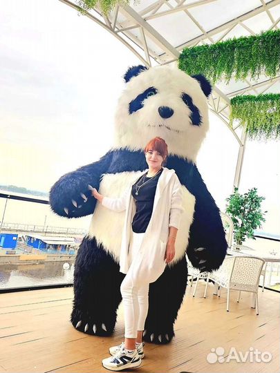 Надувной медведь панда, ростовая кукла, аниматор
