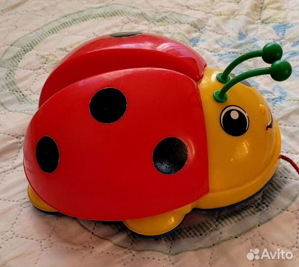 Божья коровка