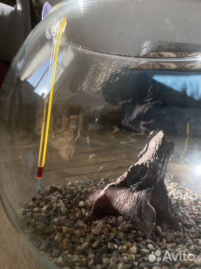 Аквариум круглый 6л