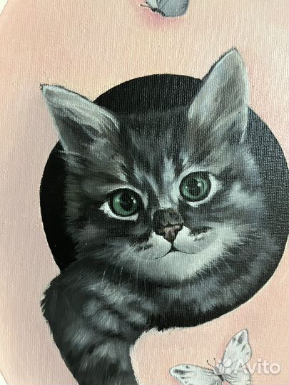 Картины котята 20х30