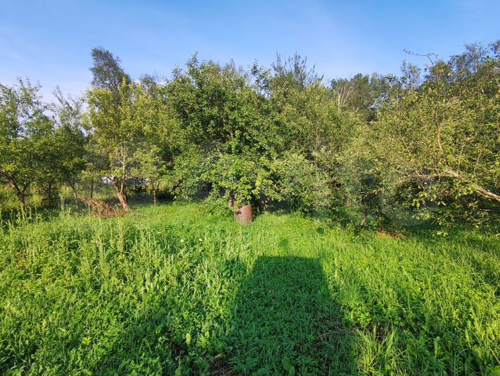 Участок 5,8 сот. (СНТ, ДНП)