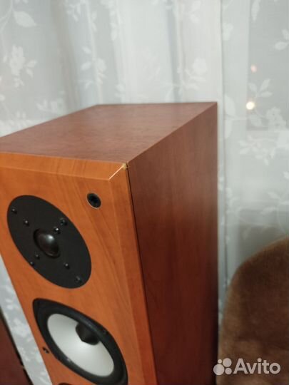 Акустика Acoustic Energy Aegis Evo Three