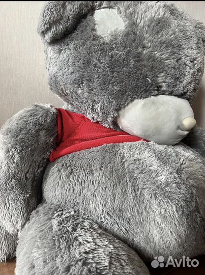 Мишка тедди